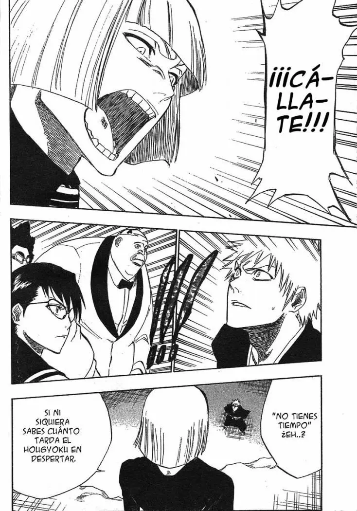 Bleach (2001) - Capítulo 217 - Página 12 - LectorTMOo