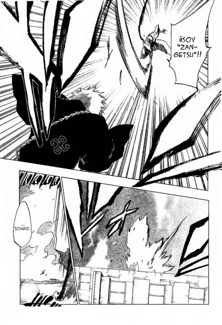 Bleach (2001) - Capítulo 218 - Página 17 - LectorTMOo