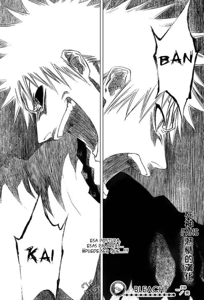 Bleach (2001) - Capítulo 218 - Página 21 - LectorTMOo