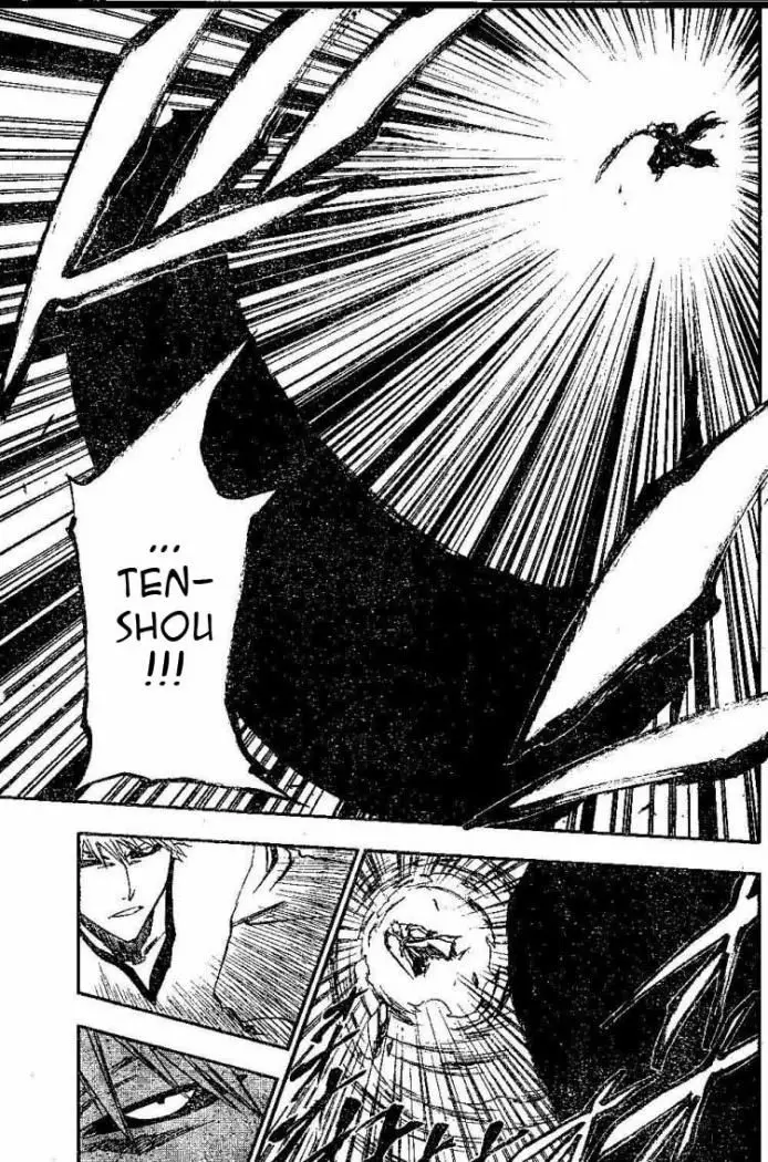 Bleach (2001) - Capítulo 219 - Página 10 - LectorTMOo
