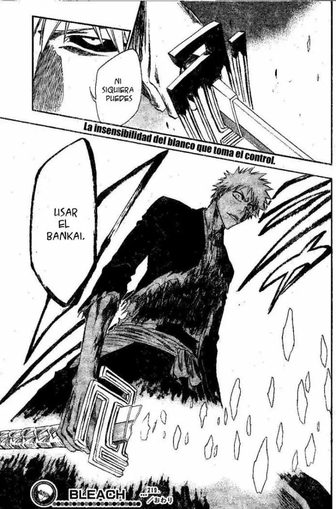 Bleach (2001) - Capítulo 219 - Página 18 - LectorTMOo