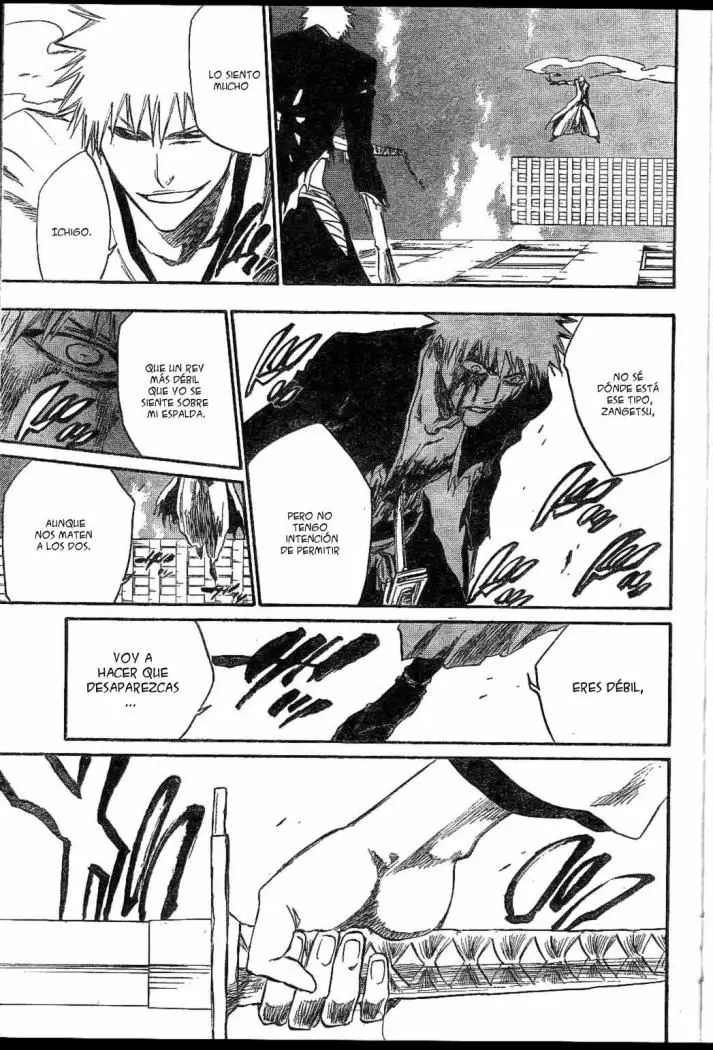 Bleach (2001) - Capítulo 220 - Página 15 - LectorTMOo