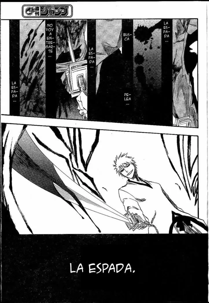 Bleach (2001) - Capítulo 220 - Página 17 - LectorTMOo