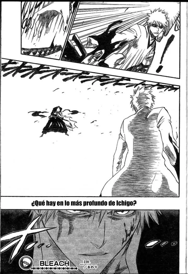 Bleach (2001) - Capítulo 220 - Página 19 - LectorTMOo