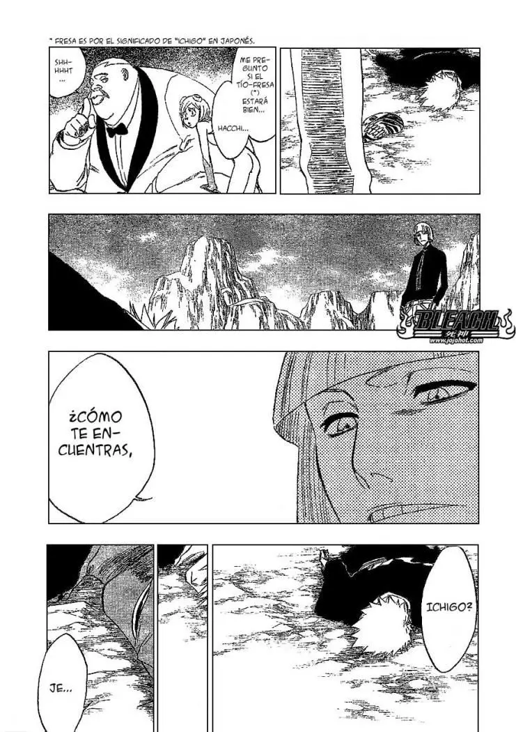 Bleach (2001) - Capítulo 222 - Página 11 - LectorTMOo