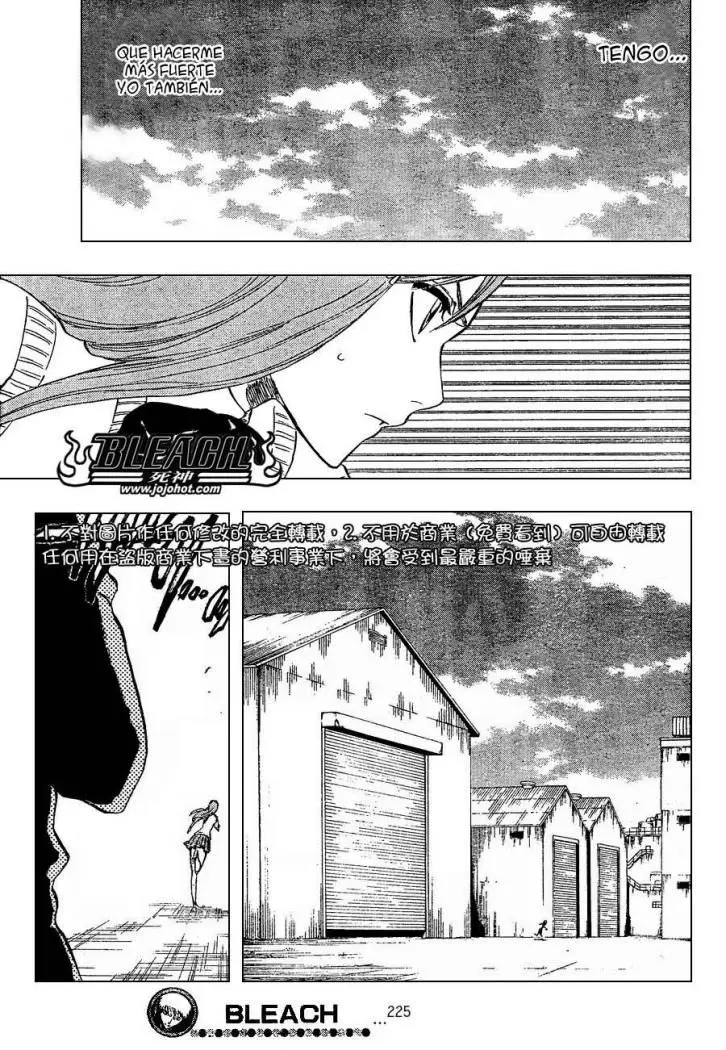 Bleach (2001) - Capítulo 225 - Página 17 - LectorTMOo