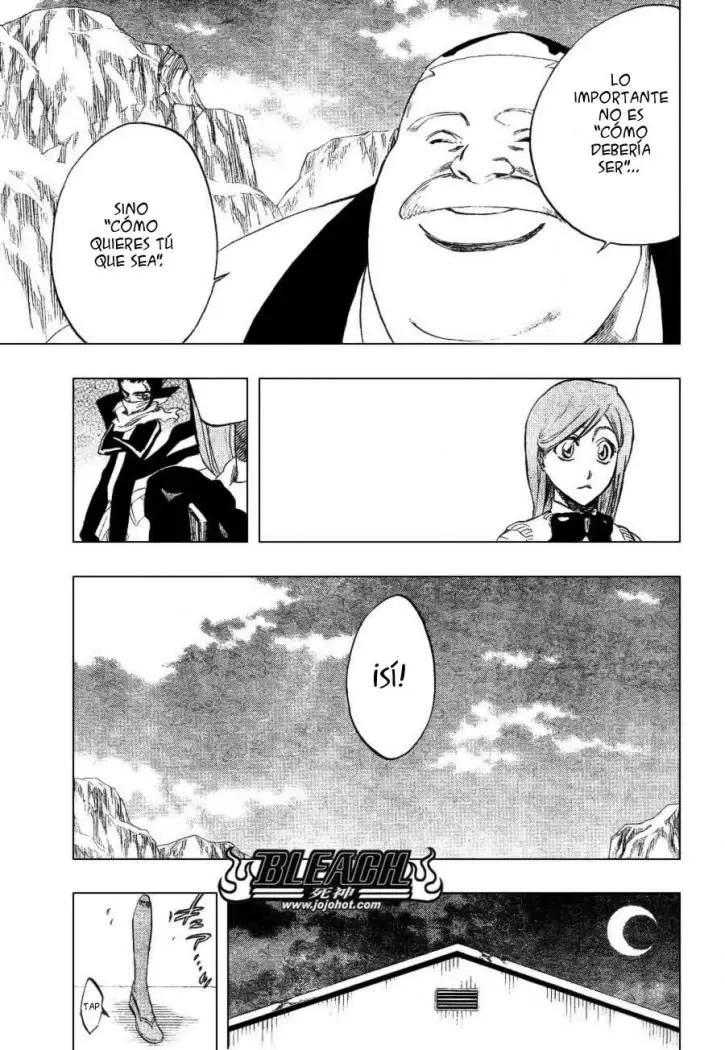 Bleach (2001) - Capítulo 228 - Página 17 - LectorTMOo