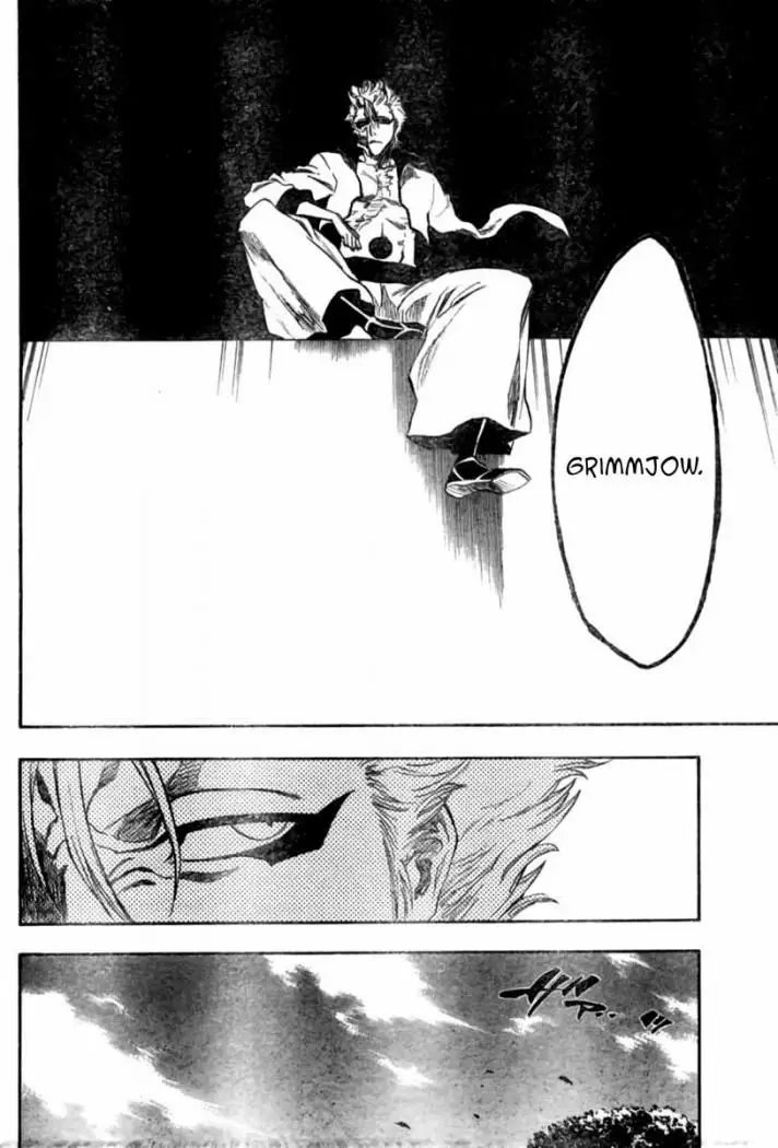 Bleach (2001) - Capítulo 229 - Página 17 - LectorTMOo