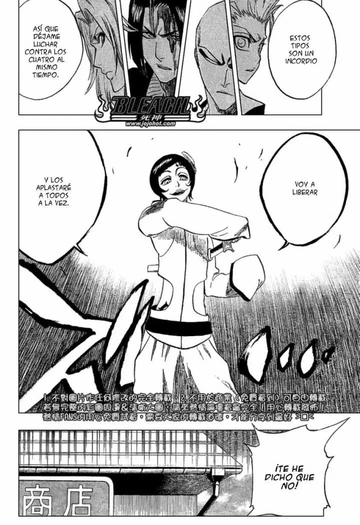 Bleach (2001) - Capítulo 231 - Página 18 - LectorTMOo