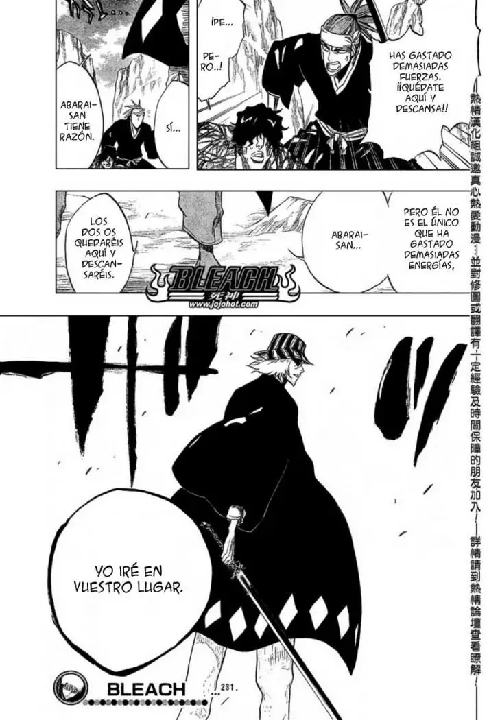 Bleach (2001) - Capítulo 231 - Página 19 - LectorTMOo