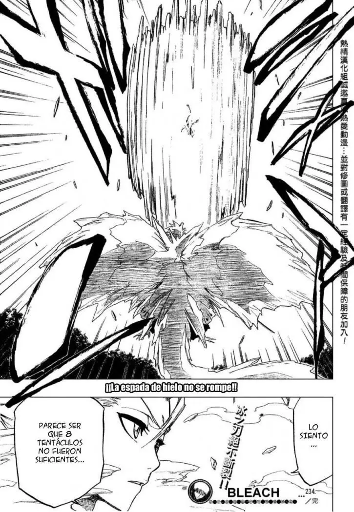 Bleach (2001) - Capítulo 234 - Página 19 - LectorTMOo