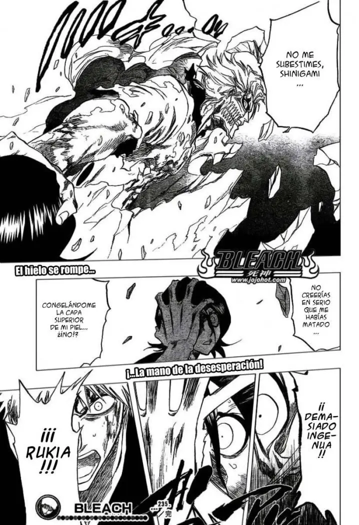 Bleach (2001) - Capítulo 235 - Página 19 - LectorTMOo