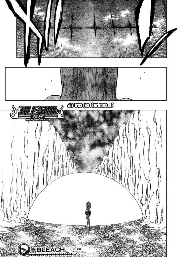 Bleach (2001) - Capítulo 236 - Página 19 - LectorTMOo