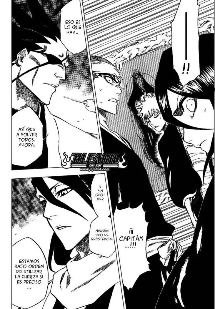 Bleach (2001) - Capítulo 238 - Página 17 - LectorTMOo