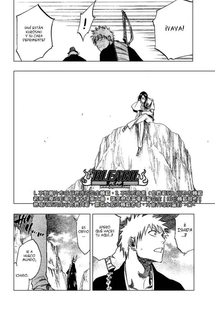 Bleach (2001) - Capítulo 239 - Página 17 - LectorTMOo