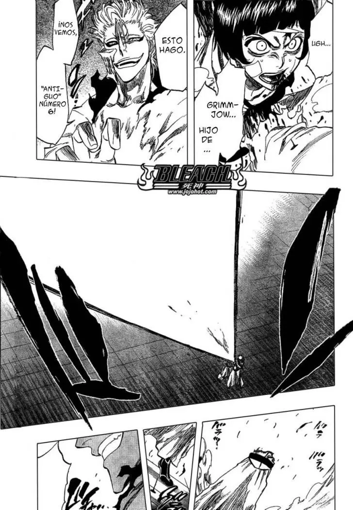 Bleach (2001) - Capítulo 240 - Página 17 - LectorTMOo