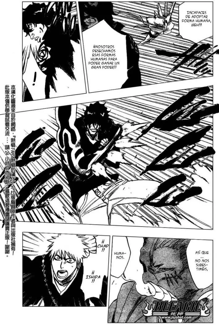 Bleach (2001) - Capítulo 242 - Página 14 - LectorTMOo