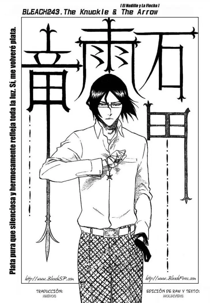 Bleach (2001) - Capítulo 243 - Página 6 - LectorTMOo