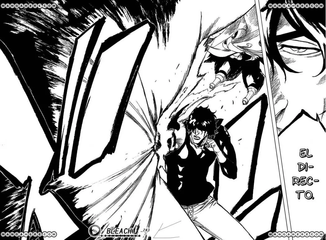Bleach (2001) - Capítulo 243 - Página 19 - LectorTMOo