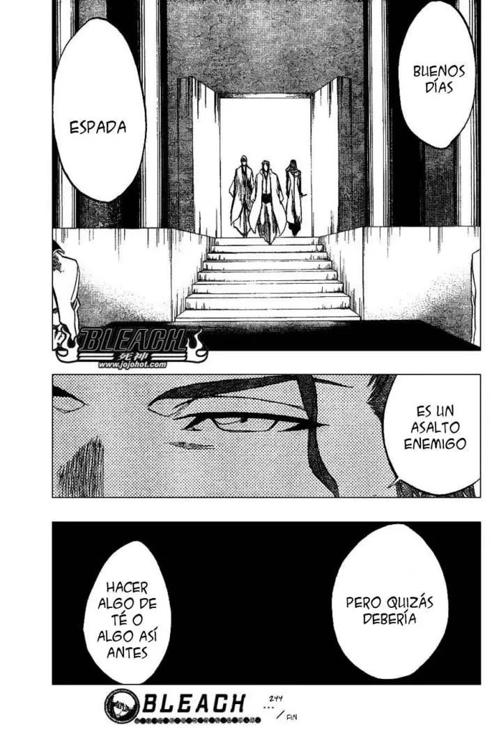 Bleach (2001) - Capítulo 244 - Página 18 - LectorTMOo