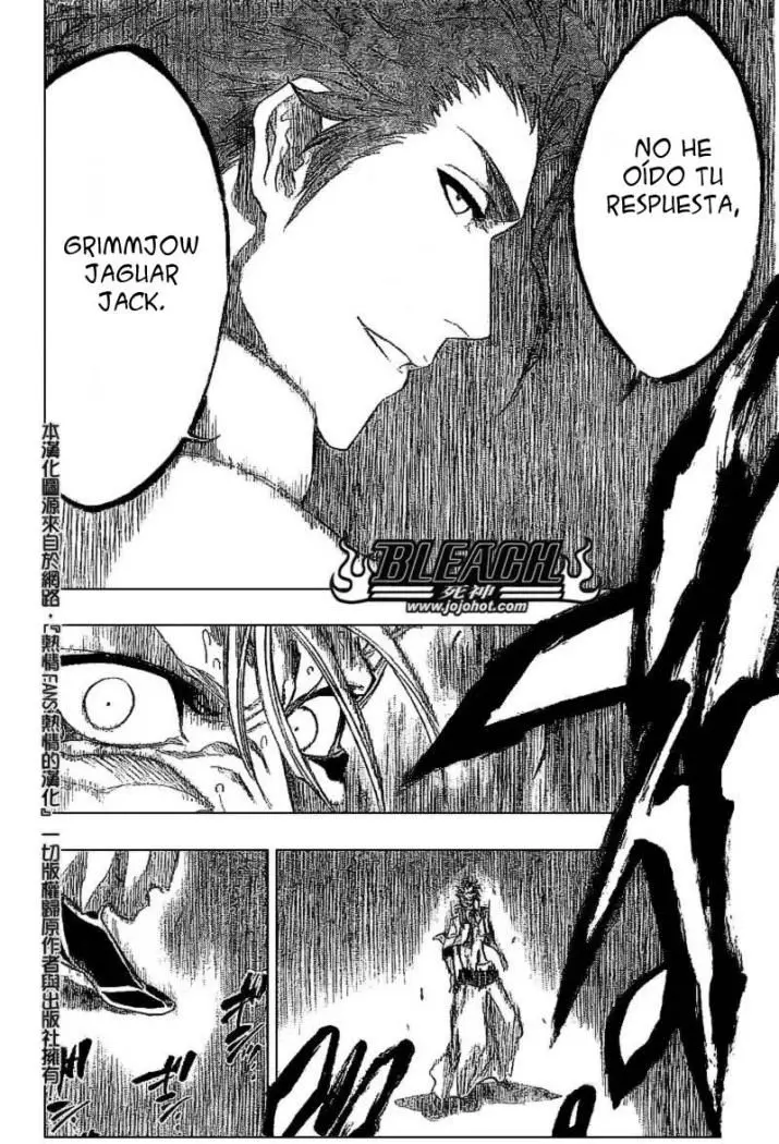 Bleach (2001) - Capítulo 245 - Página 10 - LectorTMOo