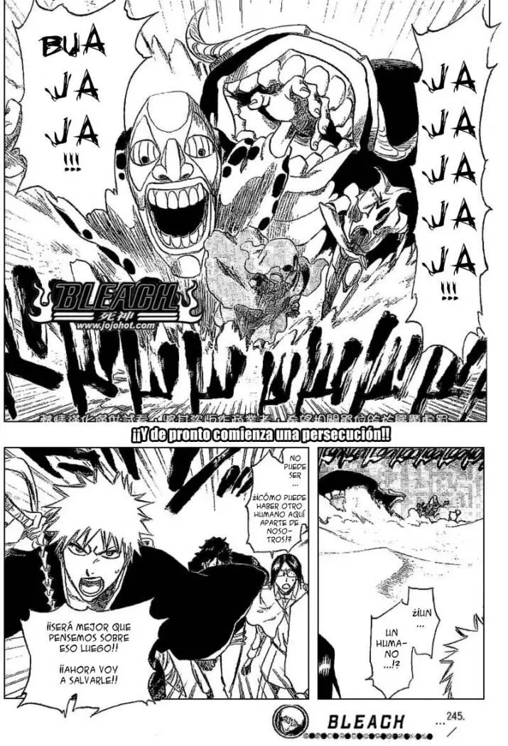 Bleach (2001) - Capítulo 245 - Página 19 - LectorTMOo