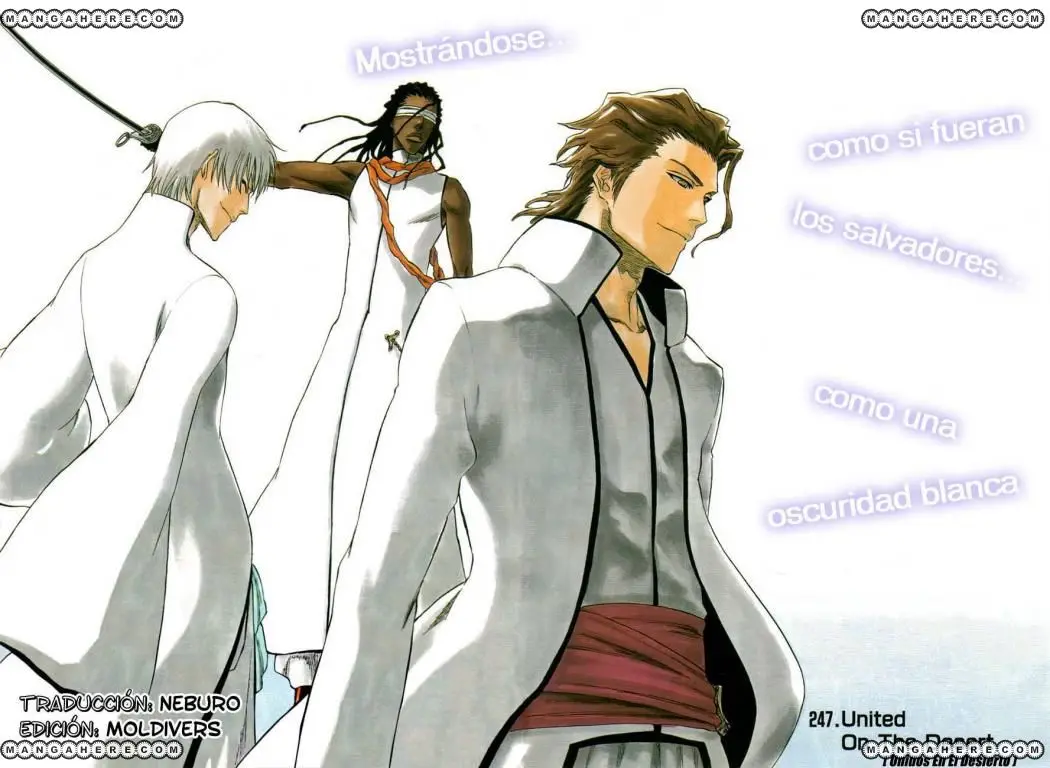 Bleach (2001) - Capítulo 247 - Página 4 - LectorTMOo