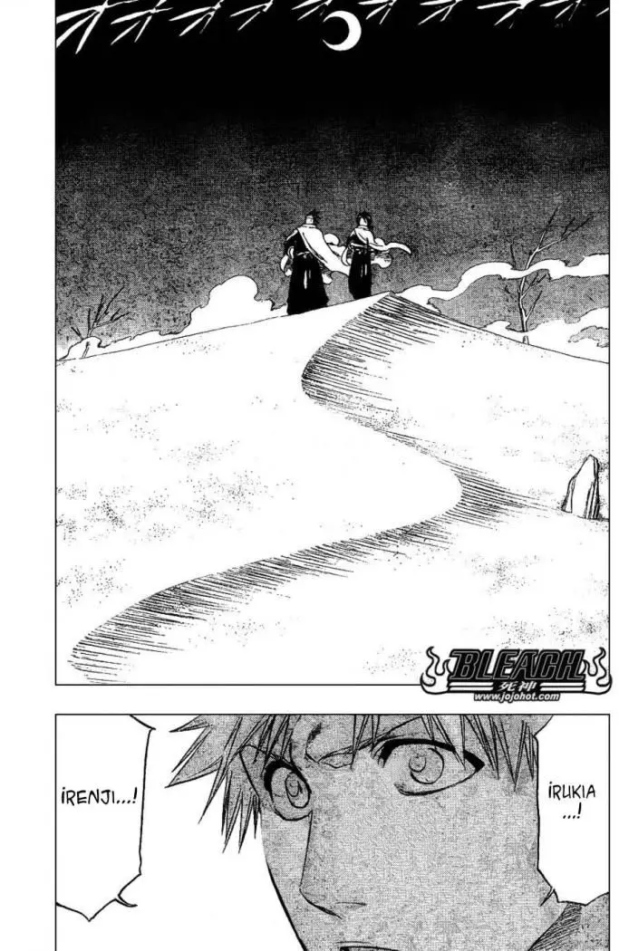 Bleach (2001) - Capítulo 247 - Página 5 - LectorTMOo