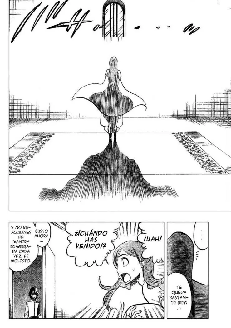 Bleach (2001) - Capítulo 247 - Página 16 - LectorTMOo