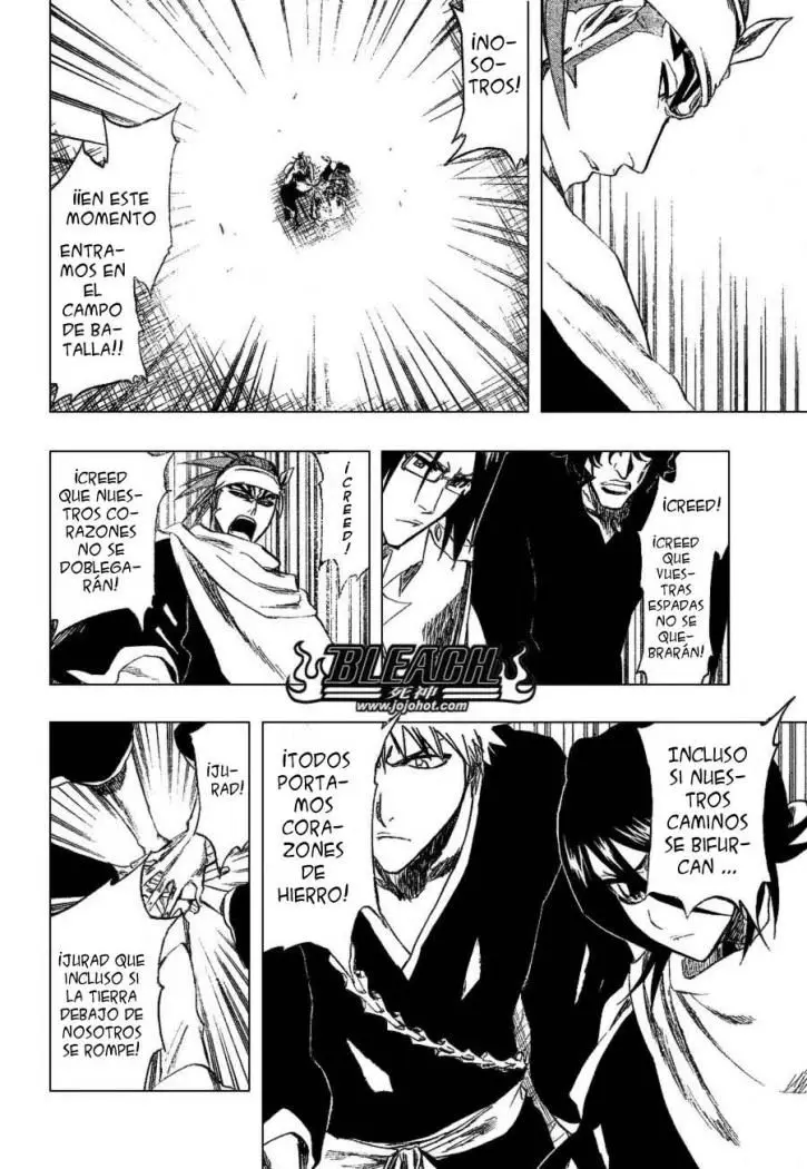 Bleach (2001) - Capítulo 248 - Página 17 - LectorTMOo
