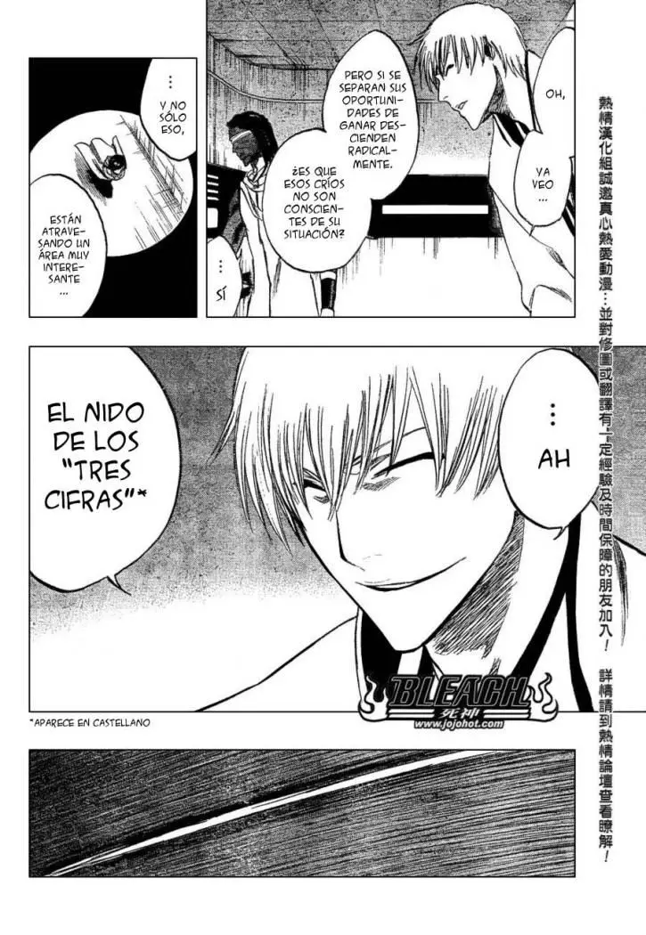 Bleach (2001) - Capítulo 250 - Página 17 - LectorTMOo