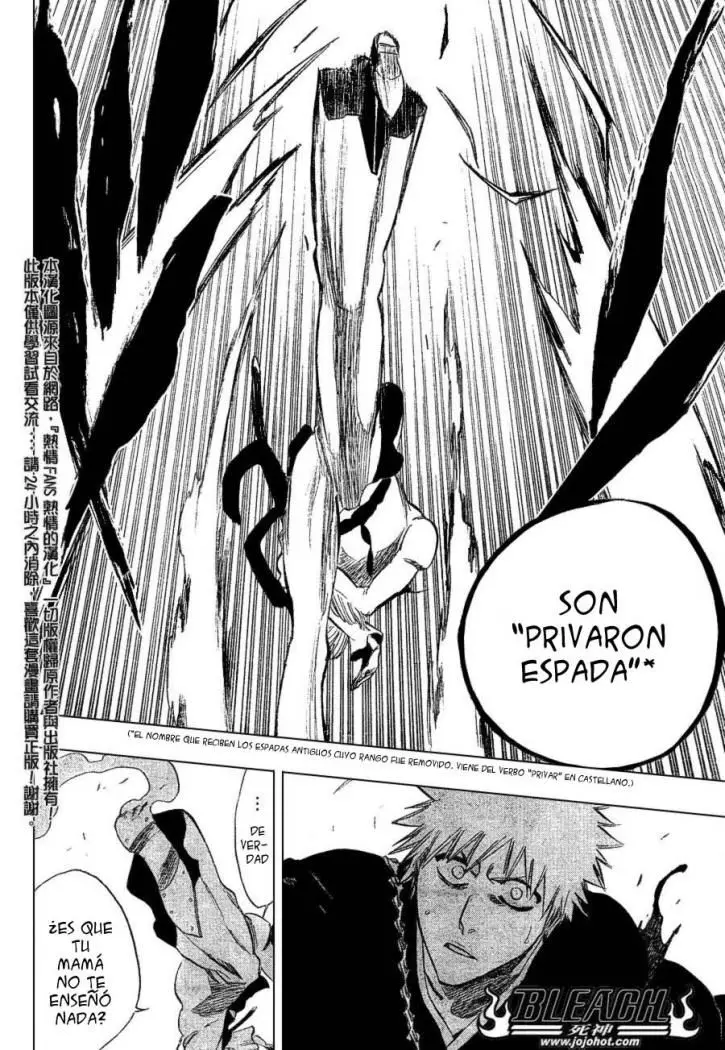 Bleach (2001) - Capítulo 250 - Página 21 - LectorTMOo