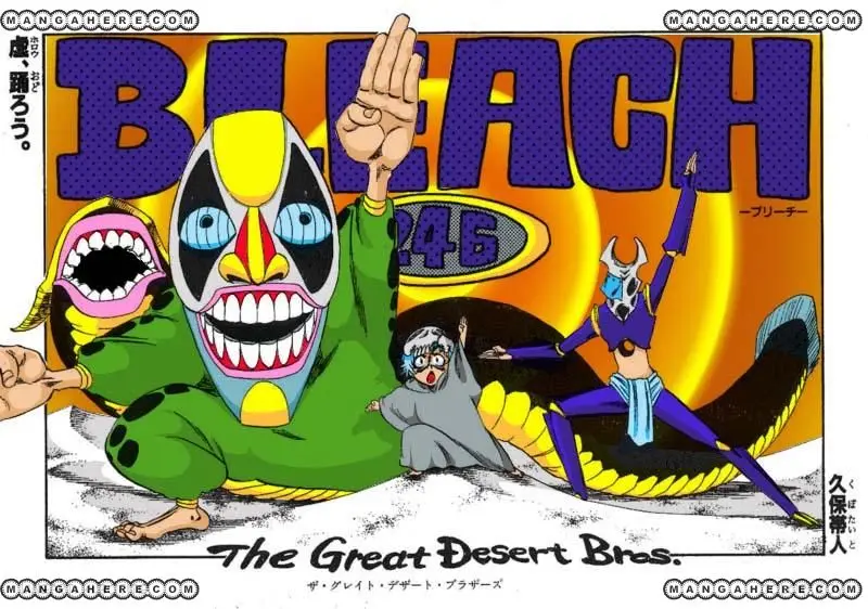 Bleach (2001) - Capítulo 250 - Página 24 - LectorTMOo