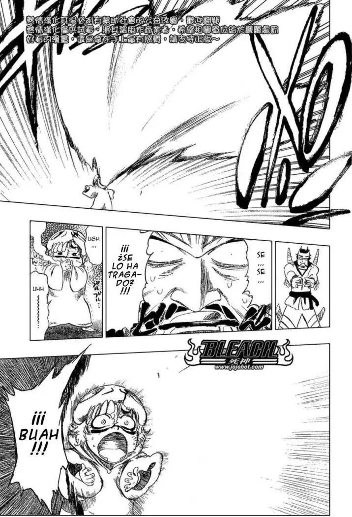 Bleach (2001) - Capítulo 252 - Página 18 - LectorTMOo