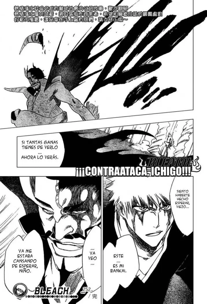 Bleach (2001) - Capítulo 252 - Página 24 - LectorTMOo