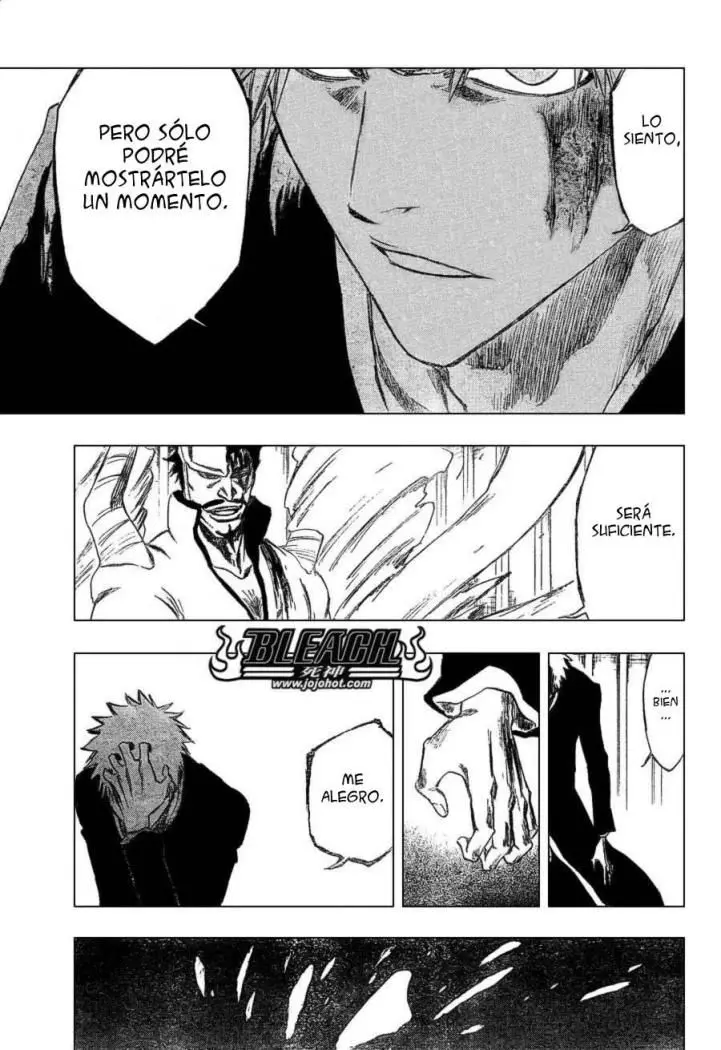 Bleach (2001) - Capítulo 253 - Página 14 - LectorTMOo