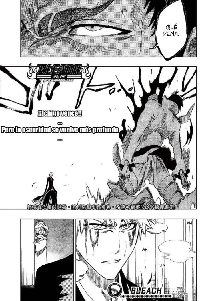 Bleach (2001) - Capítulo 253 - Página 20 - LectorTMOo