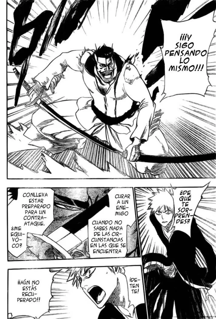 Bleach (2001) - Capítulo 254 - Página 9 - LectorTMOo