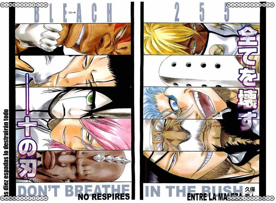 Bleach (2001) - Capítulo 255 - Página 4 - LectorTMOo