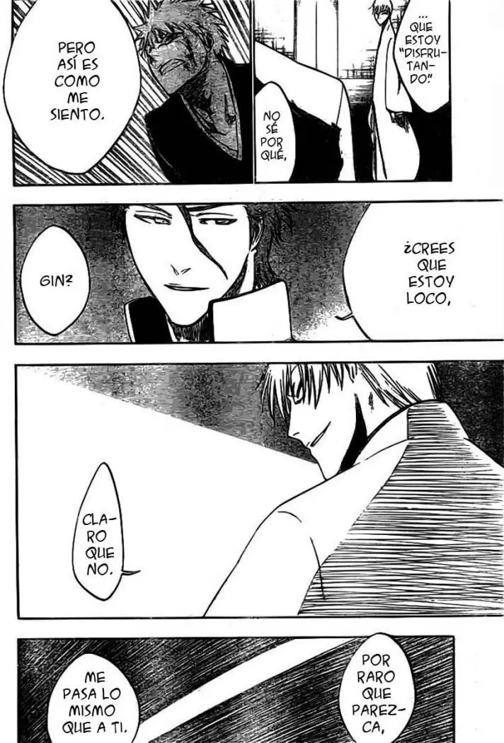 Bleach (2001) - Capítulo 255 - Página 13 - LectorTMOo