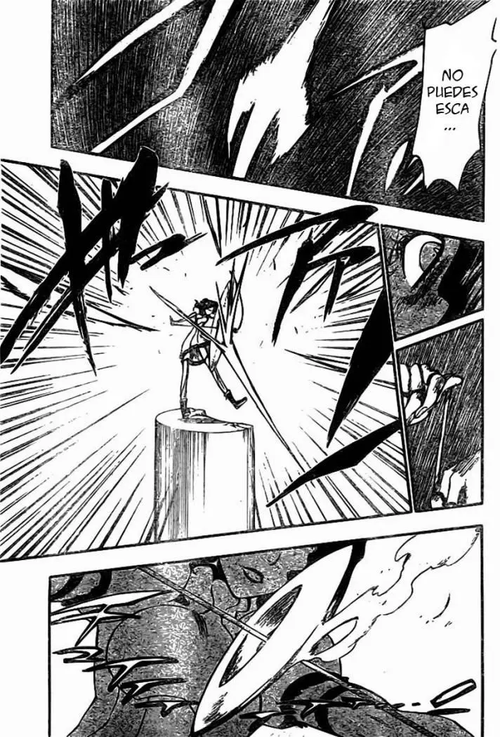 Bleach (2001) - Capítulo 255 - Página 16 - LectorTMOo