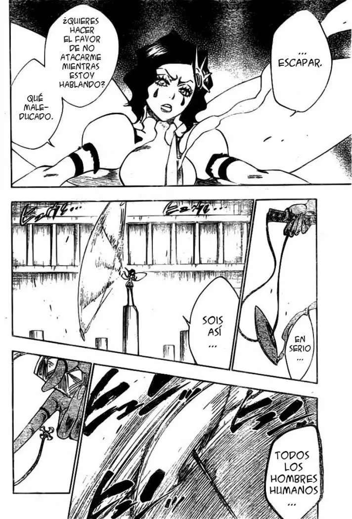 Bleach (2001) - Capítulo 255 - Página 17 - LectorTMOo