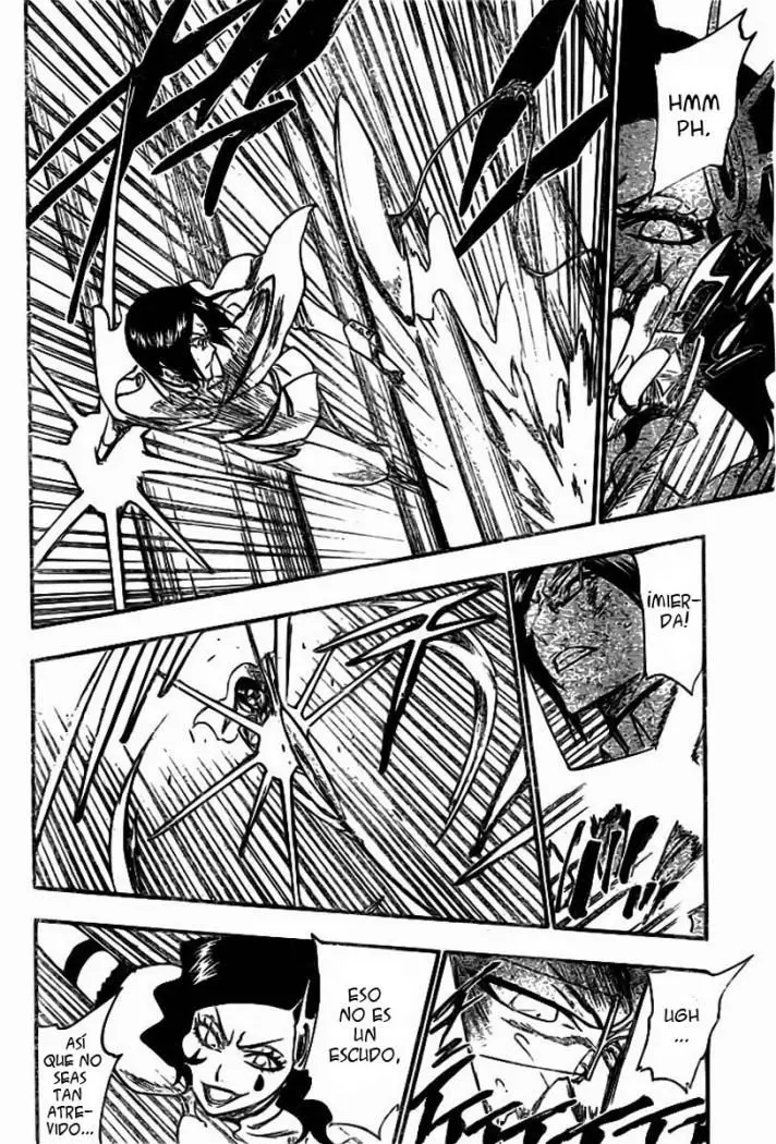 Bleach (2001) - Capítulo 255 - Página 19 - LectorTMOo