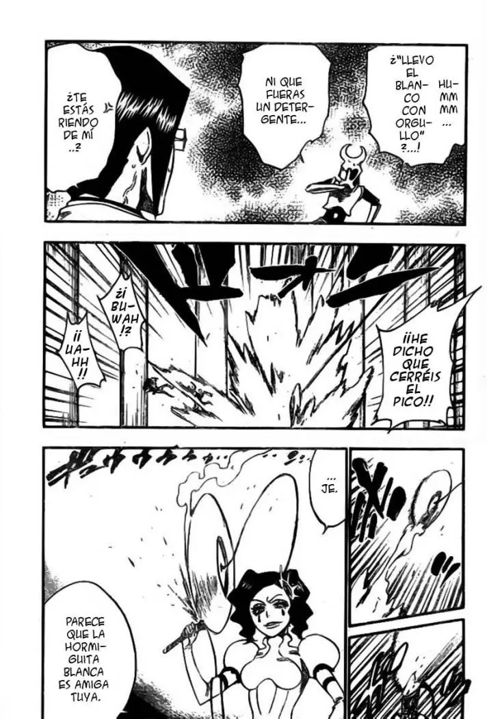 Bleach (2001) - Capítulo 256 - Página 12 - LectorTMOo