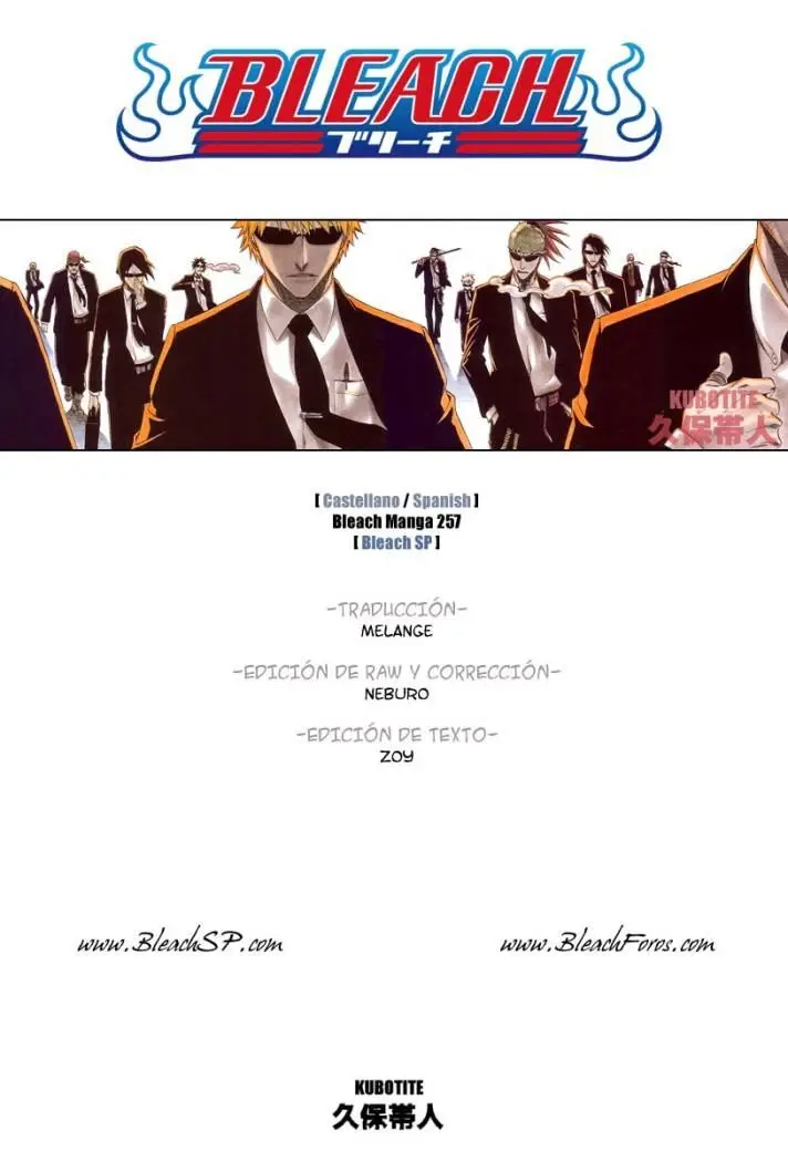 Bleach (2001) - Capítulo 257 - Página 1 - LectorTMOo