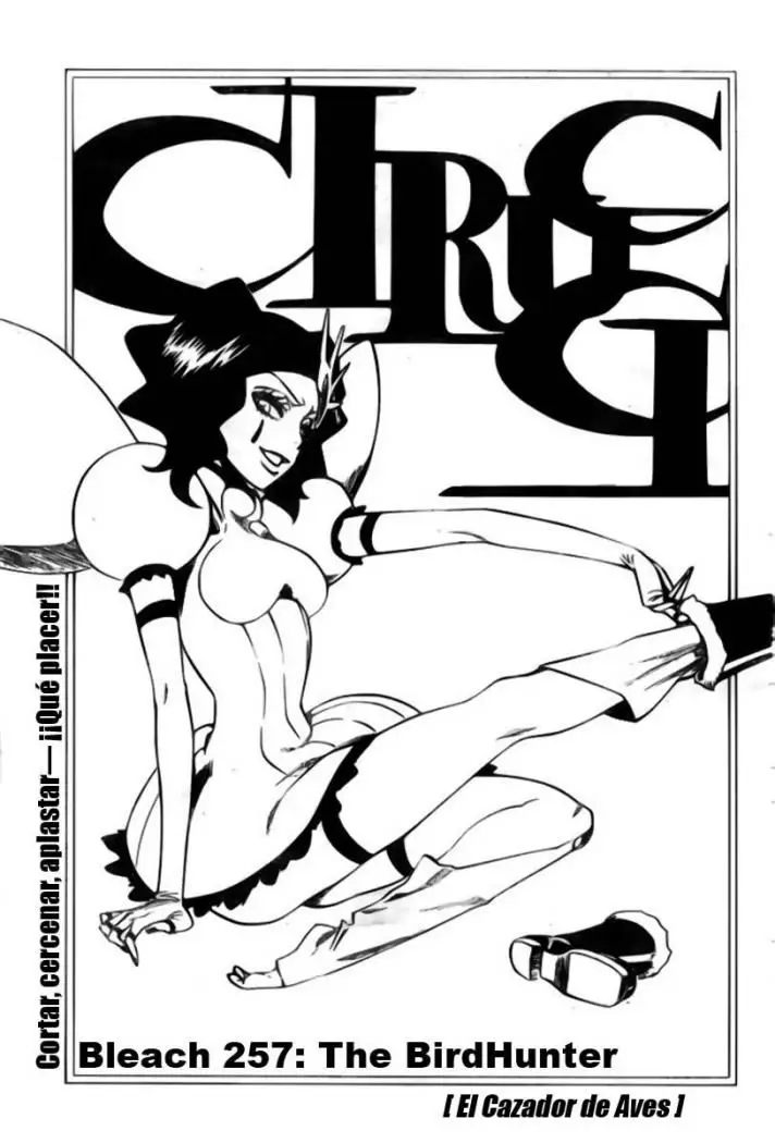 Bleach (2001) - Capítulo 257 - Página 4 - LectorTMOo