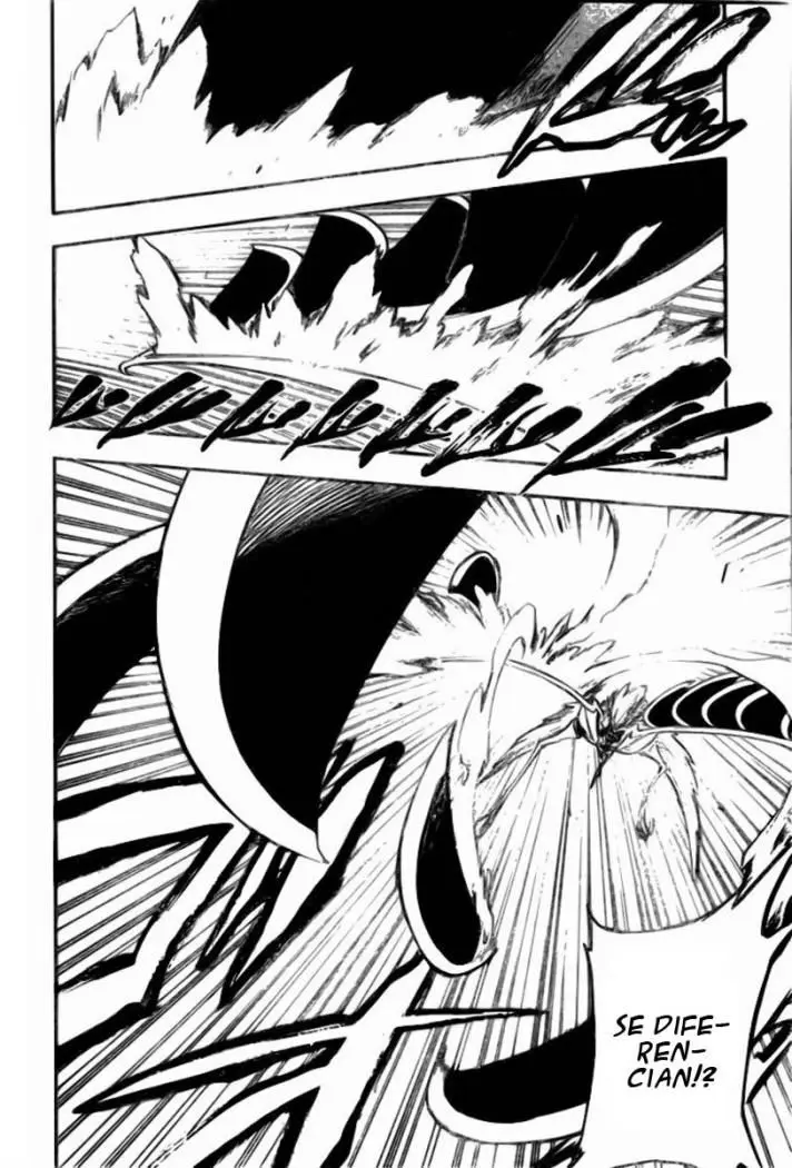 Bleach (2001) - Capítulo 257 - Página 13 - LectorTMOo