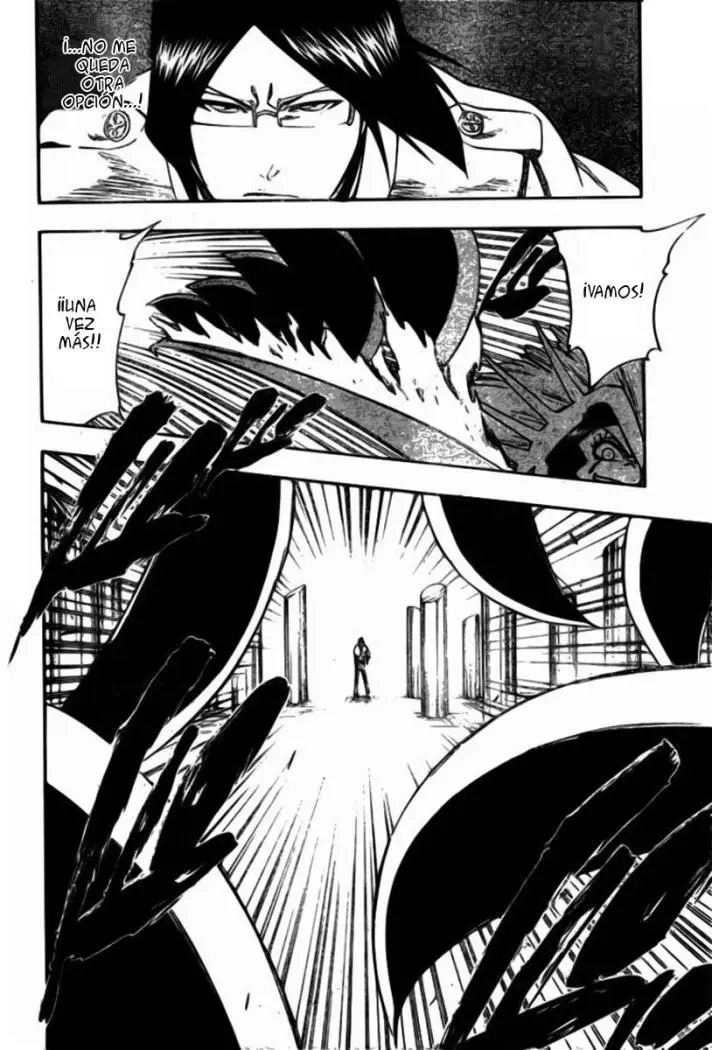 Bleach (2001) - Capítulo 257 - Página 17 - LectorTMOo