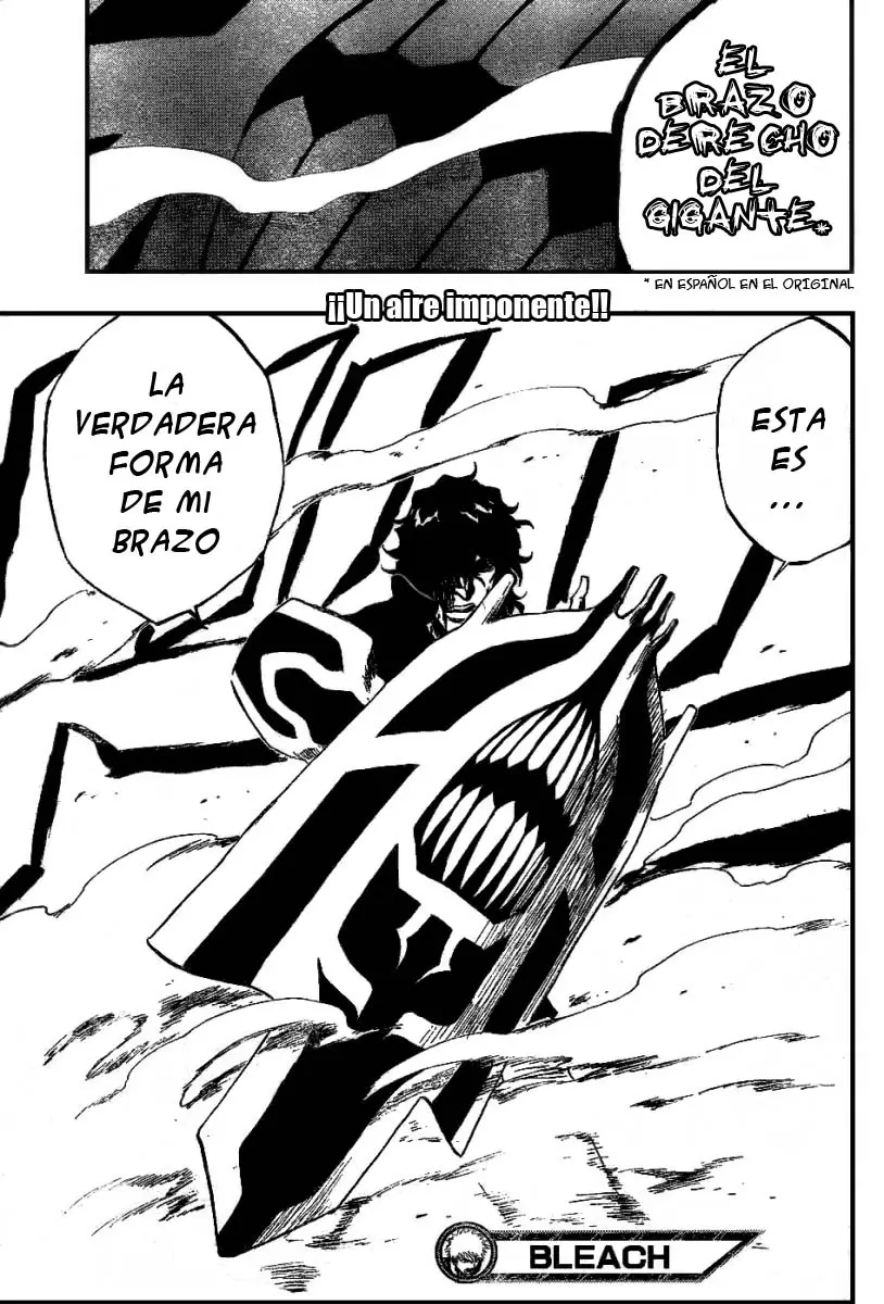 Bleach (2001) - Capítulo 259 - Página 19 - LectorTMOo