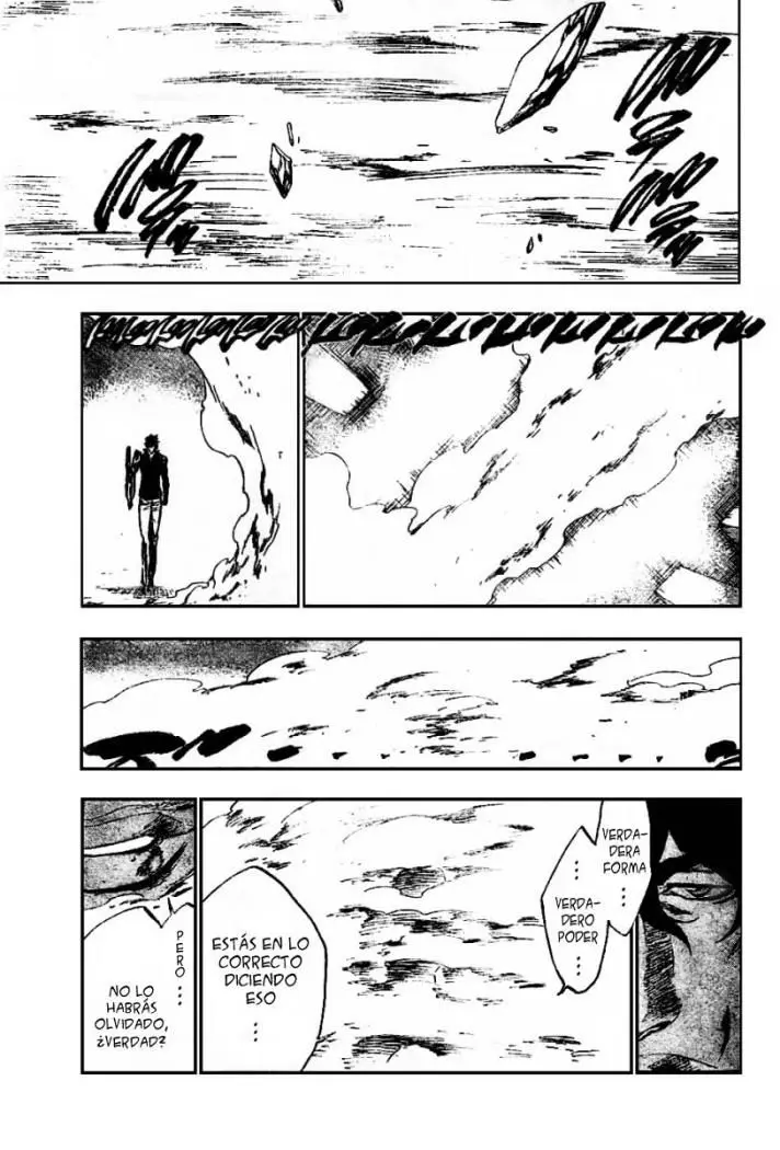 Bleach (2001) - Capítulo 260 - Página 12 - LectorTMOo